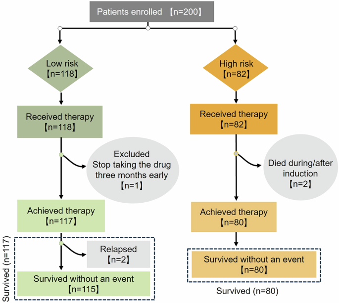 A multicenter single-arm clinical study of Chinese children’s cancer group-acute promyelocytic leukemia-2017 (CCCG-APL-2017) protocol