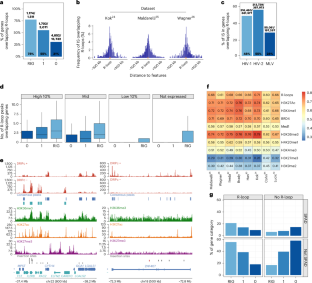 Aquarius helicase facilitates HIV-1 integration into R-loop enriched genomic regions