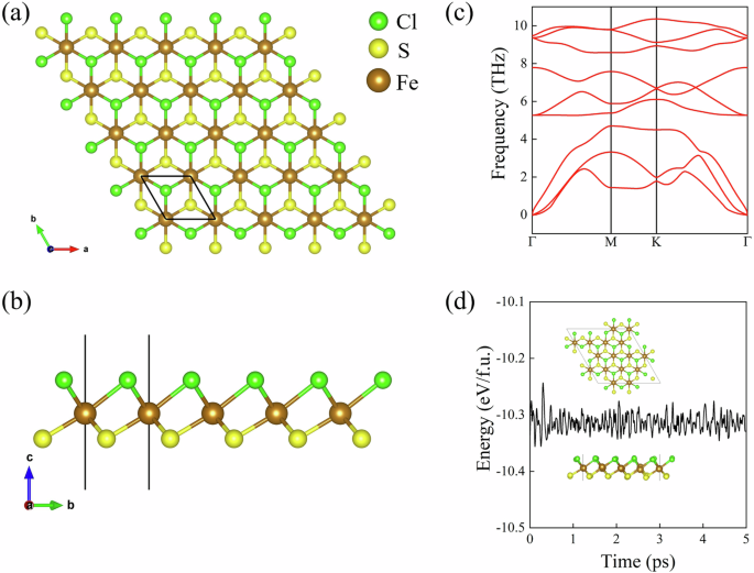 Prediction of intrinsic multiferroicity and large valley polarization in a layered Janus material