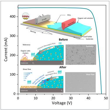Shear flow strategy for coating homogeneity of organic materials in perovskite solar cells and modules