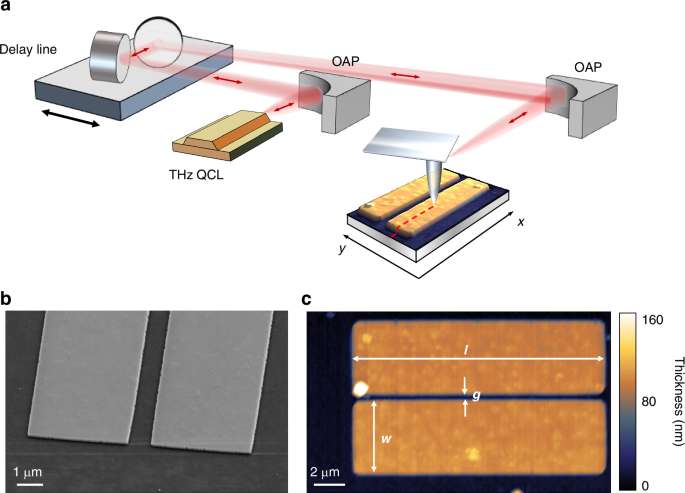 Tracing terahertz plasmon polaritons with a tunable-by-design dispersion in topological insulator metaelements