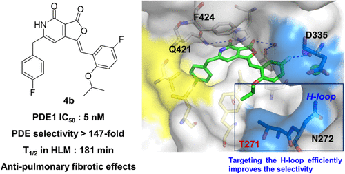 Discovery of Selective PDE1 Inhibitors Alleviating Pulmonary Fibrosis by the Regulation of TGF-β/Smads and MAPK Pathways