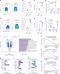 Loss of YTHDF2 enhances Th9 programming and CAR-Th9 cell antitumor efficacy