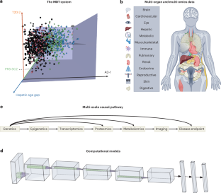 Towards a multi-organ, multi-omics medical digital twin