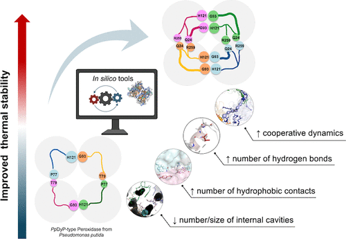 Network Dynamics as Fingerprints of Thermostability in an In Silico-Engineered DyP-Type Peroxidase