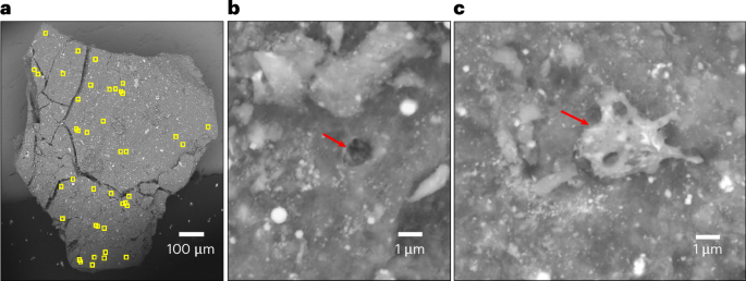 Space weathering effects in Bennu asteroid samples