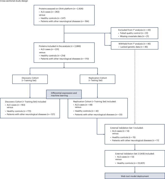 A plasma proteomics-based candidate biomarker panel predictive of amyotrophic lateral sclerosis.
