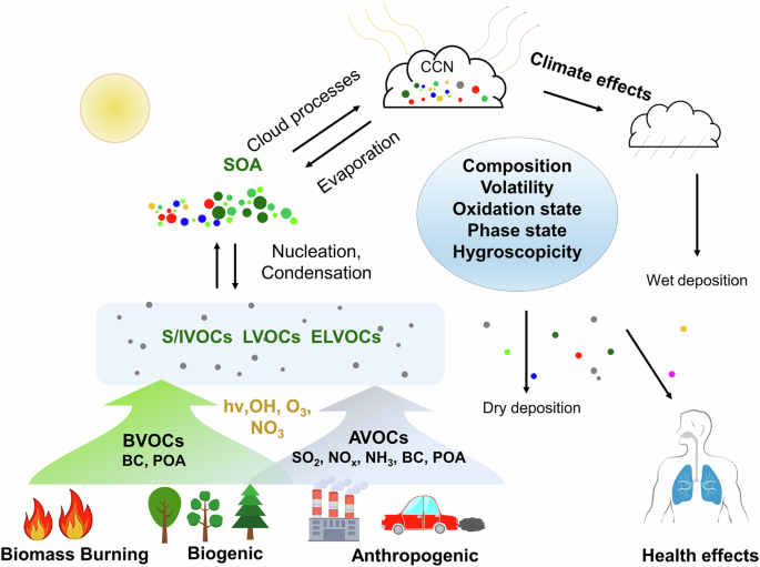 Atmospheric organic aerosols: online molecular characterization and environmental impacts
