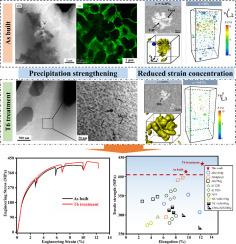 Simultaneously enhancing strength and ductility of laser directed energy deposited TiB2/AlSi10Mg by inducing dispersed Mg2Si precipitation and reducing strain concentration