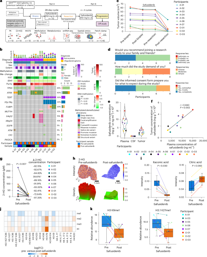 Perioperative IDH inhibition in treatment-naive IDH-mutant glioma: a pilot trial