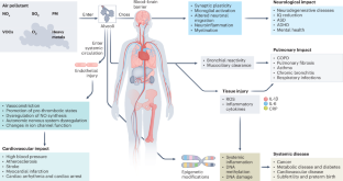 Air pollution interventions for health