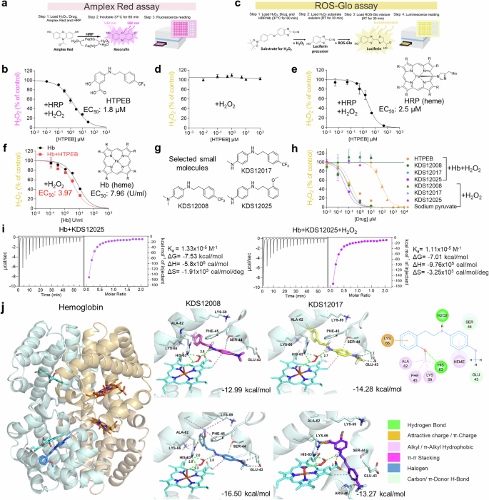 Hemoglobin as a pseudoperoxidase and drug target for oxidative stress-related diseases