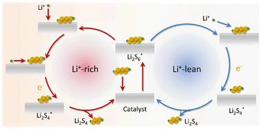 Synergetic insights into Nb single atoms and lithiophilic support for high-efficiency sulfur catalysis in Li–S batteries