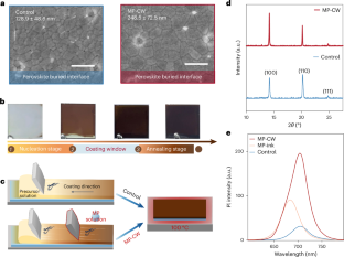 In situ coating strategy for flexible all-perovskite tandem modules