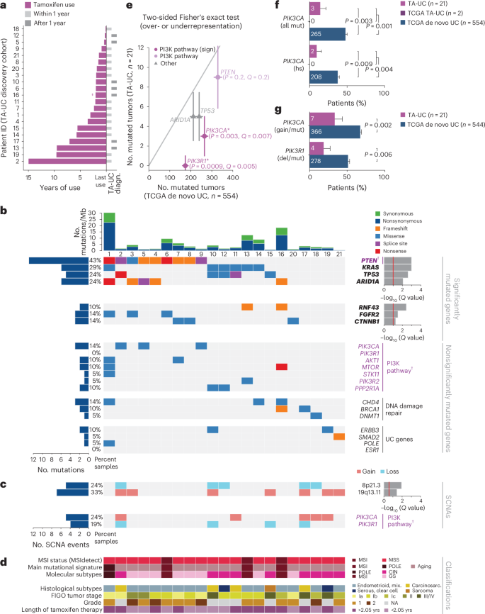 Tamoxifen induces PI3K activation in uterine cancer