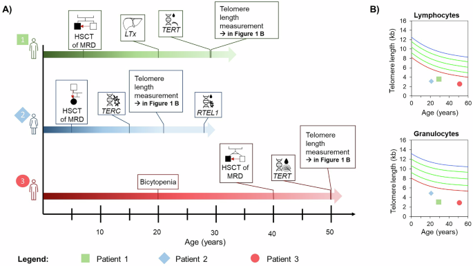 Allogeneic stem cell transplantation from variant-carrying family donors leads to long-term engraftment in Telomere Biology Disorders
