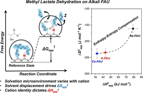Dehydration of Methyl Lactate on Alkali Cation-Exchanged Faujasite: Effects of Metal Cation Identity and Water Pressure