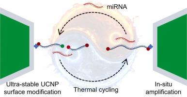 In-situ thermal cycling amplification on the surface of upconversion nanoparticles and enabling multiplexed microRNA assay