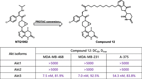 Design, Synthesis, and Biological Evaluation of Isoform-Selective Akt3 Degraders