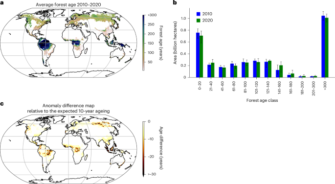 Global covariation of forest age transitions with the net carbon balance