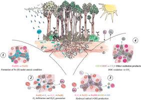 The dark side of the soil carbon cycle: Hydroxyl radicals and abiotic CO2 production