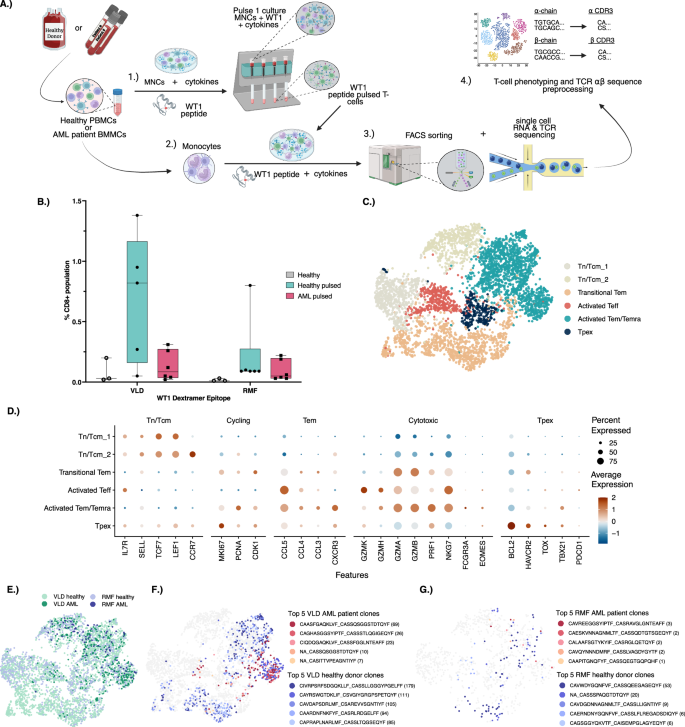 Predicting antigen-specific T-cell immunity against Wilms tumor 1 in hematologic cancer