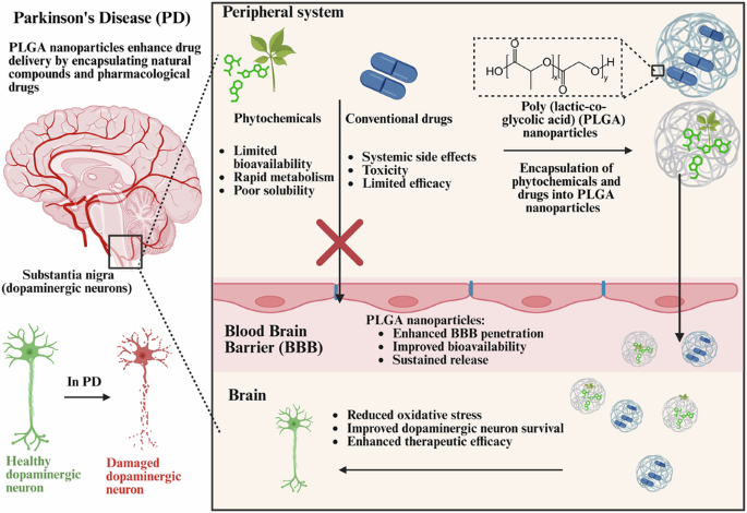 Revamping Parkinson’s disease therapy using PLGA-based drug delivery systems
