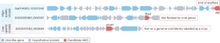 A call for caution in the biological interpretation of viral auxiliary metabolic genes