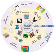Bioinspired micro-nano photonic materials