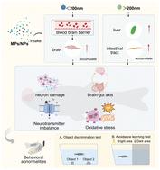 From particle size to brain function: a zebrafish-based review of micro/nanoplastic-induced neurobehavioral toxicity and mechanistic pathways
