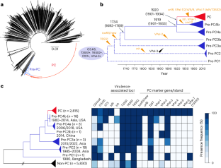 Wave succession in the pandemic clone of Vibrio parahaemolyticus driven by gene loss