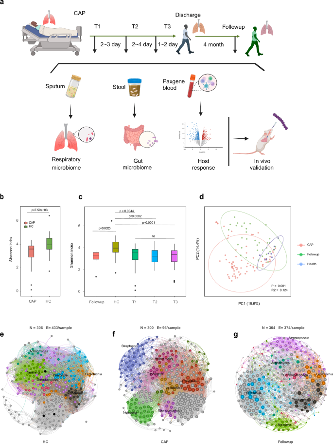 Enrichment of Streptococcus oralis in respiratory microbiome enhance innate immunity and protects against influenza infection