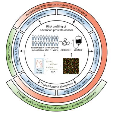 Tumor transcriptome-wide expression classifiers predict treatment sensitivity in advanced prostate cancers