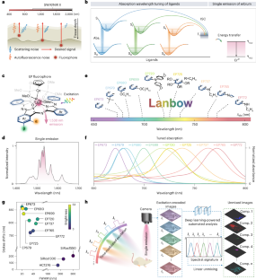 Excitation-encoded single-emission shortwave infrared lanthanide fluorophore palette for real-time in vivo multispectral imaging