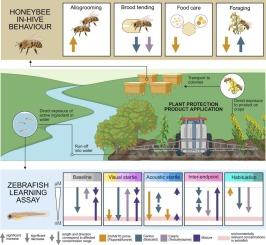Cross-taxa sublethal impacts of plant protection products on honeybee in-hive and zebrafish swimming behaviours at environmentally relevant concentrations