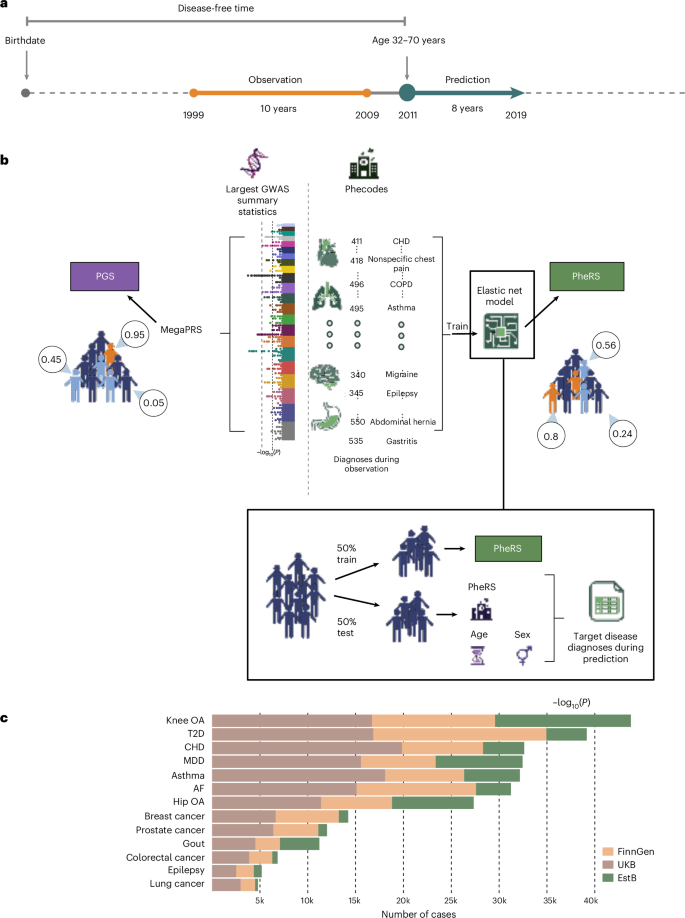 Cross-biobank generalizability and accuracy of electronic health record-based predictors compared to polygenic scores