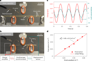 Flexoelectricity and surface ferroelectricity of water ice
