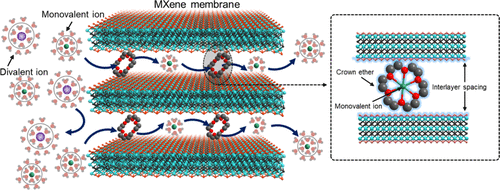 Crown Ether Confined in a 2D MXene Membrane for Mono-/Divalent Ion Separation