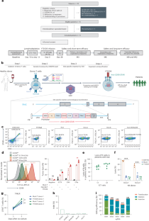Allogeneic CD19-targeting T cells for treatment-refractory systemic lupus erythematosus: a phase 1 trial