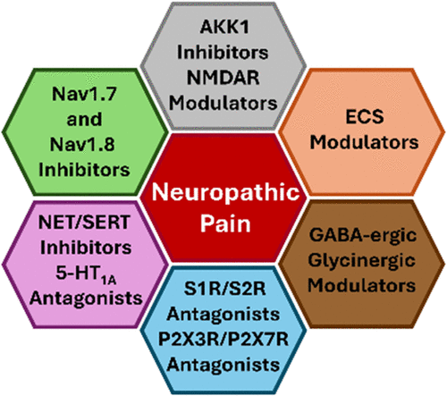 Current Nonopioid Small Molecule Approaches Toward the Treatment of Neuropathic Pain