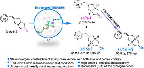 Remote Biocatalytic Stereoselective Synthesis of Axially and Centrally Chiral Alkylidene Cyclopentanols