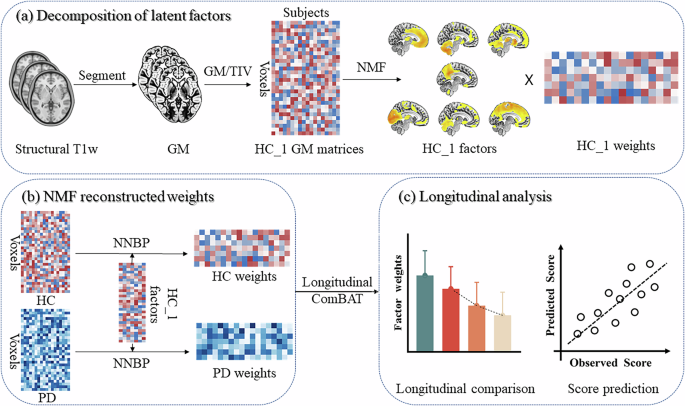 Longitudinal non-negative matrix factorization identifies the altered trajectory of motor symptoms in Parkinson’s disease