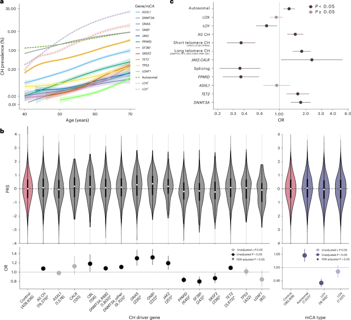Telomere attrition becomes an instrument for clonal selection in aging hematopoiesis and leukemogenesis