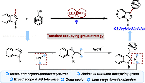 Photoinduced EDA Complexes Enabled C3 (Hetero)arylation of Indoles Using Amine as a Transient Occupying Group