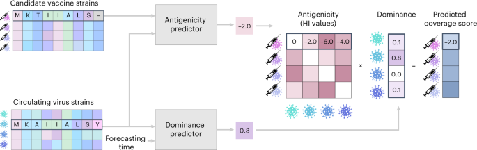 Influenza vaccine strain selection with an AI-based evolutionary and antigenicity model
