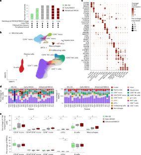 Single-cell atlas of human liver and blood immune cells across fatty liver disease stages reveals distinct signatures linked to liver dysfunction and fibrogenesis