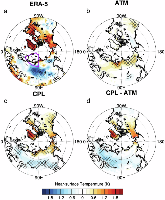 Ocean-atmosphere coupling enhances Eurasian cooling in response to historical Barents-Kara sea-ice loss