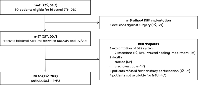 Predicting cognition after subthalamic Deep Brain Stimulation in Parkinson’s Disease