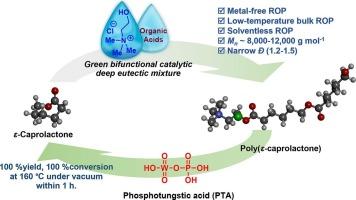 Solventless and low-temperature ring-opening polymerization using deep eutectic solvents of ε-caprolactone and their depolymerization cycles for biodegradable polyesters