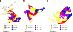 Origin and crop type affect the biodiversity pressures of fruits and vegetables